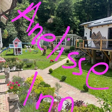 Anelisse Inn Moeciu De Sus Εξωτερικό φωτογραφία