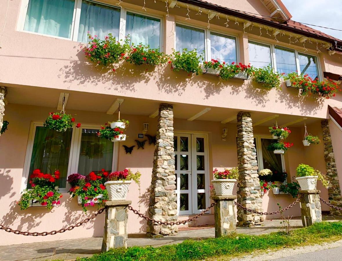 Anelisse Inn Moeciu De Sus Εξωτερικό φωτογραφία
