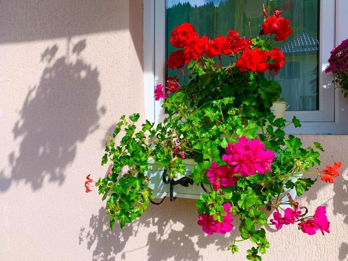 Anelisse Inn Moeciu De Sus Εξωτερικό φωτογραφία