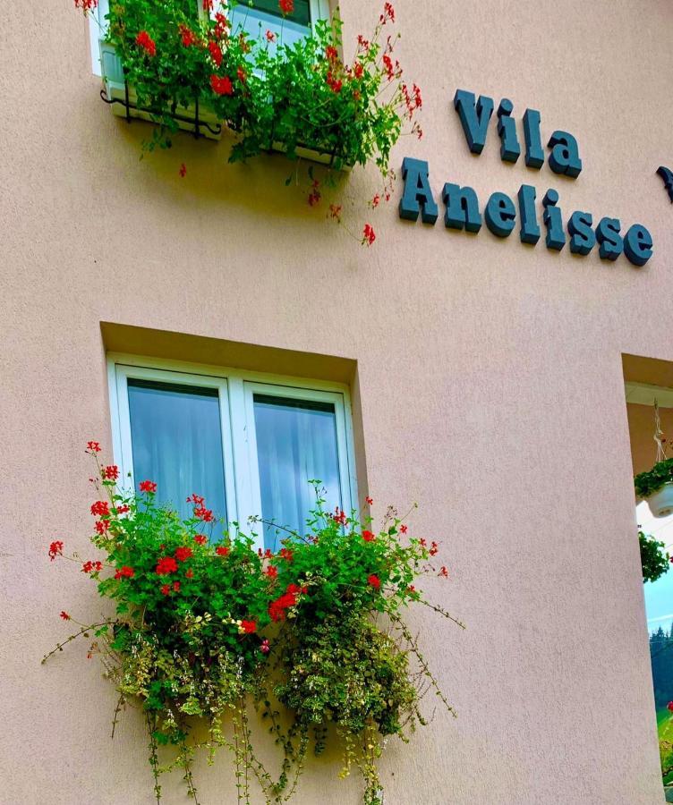 Anelisse Inn Moeciu De Sus Εξωτερικό φωτογραφία