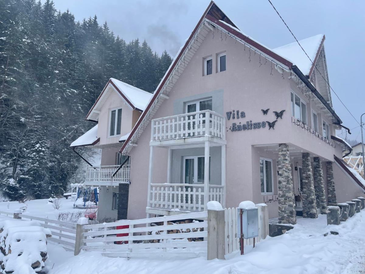 Anelisse Inn Moeciu De Sus Εξωτερικό φωτογραφία