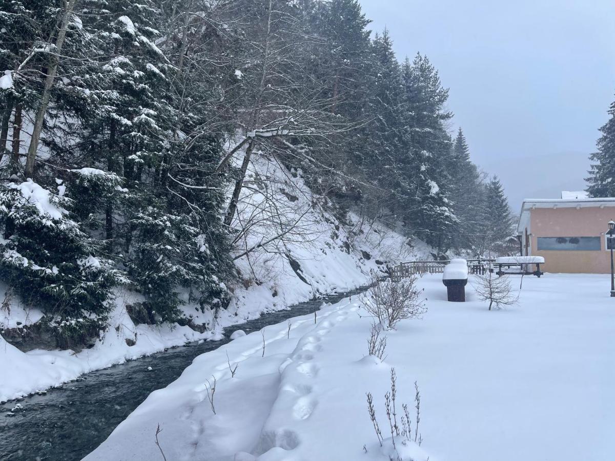 Anelisse Inn Moeciu De Sus Εξωτερικό φωτογραφία