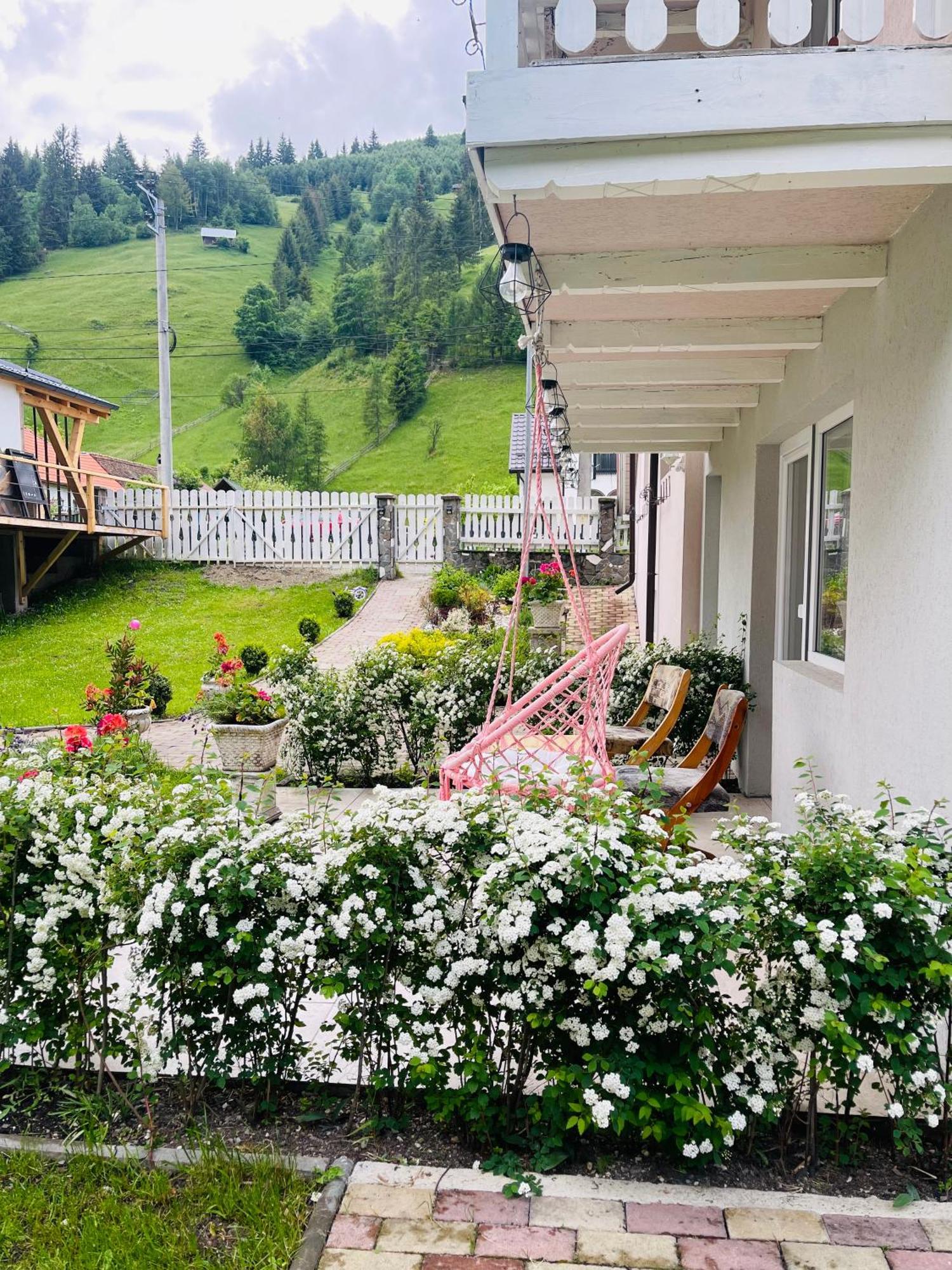 Anelisse Inn Moeciu De Sus Εξωτερικό φωτογραφία